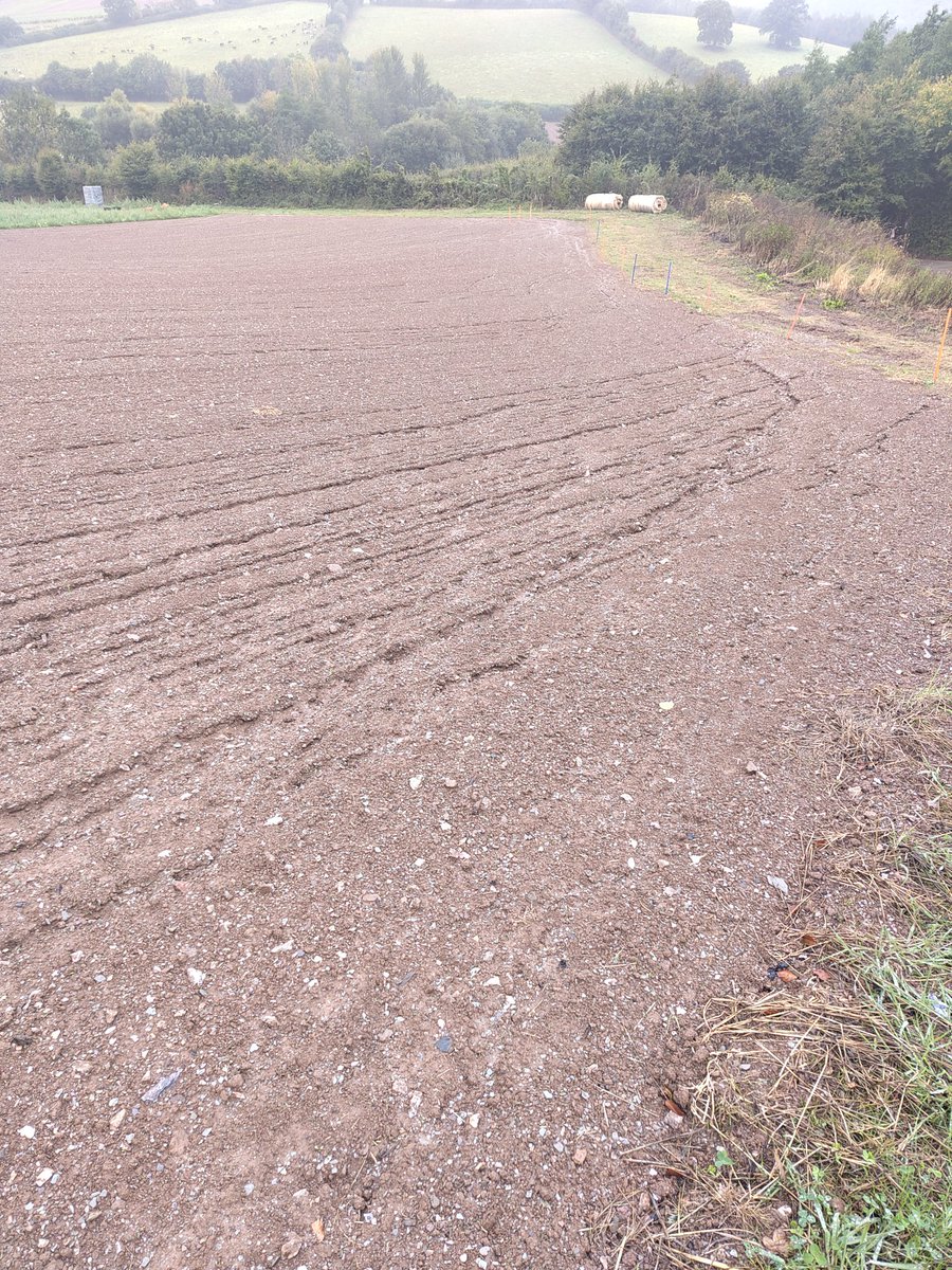 Harriet Bell (@blewinbell) on Twitter photo When you're trying to establish a living mulch over your trial plot but the rain has other ideas #farmworldproblem When you're trying to establish a living mulch over your trial plot but the rain has other ideas #farmworldproblem