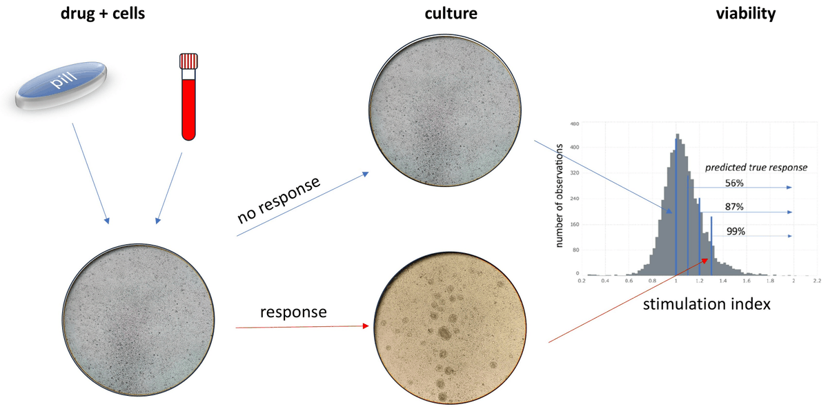 🔔#Allergies Welcomes you to read our publication "Analysis of Viability as Readout of Lymphocyte Transformation Test in Drug Hypersensitivity Diagnostics" by Dr. József Prechl et al.

✅Link: brnw.ch/21wVofH

#DrugAllergy #Hypersensitivity #CellViability