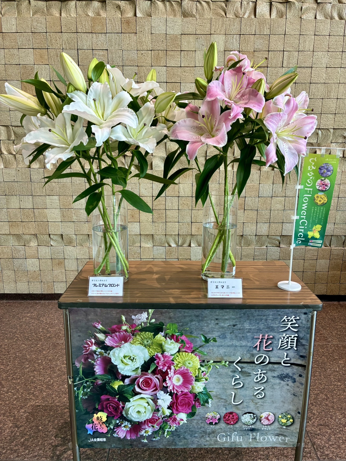 キャンベル・ラ・パン　Dom Flowers　シェーンボーデン　オリバーガル Amazon.com: The Oliver Gal Artist Co. Modern 20.0 in x 24.0