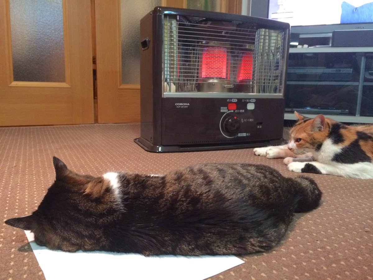 卯月よう (@yo_yo_yo_u) on Twitter photo 