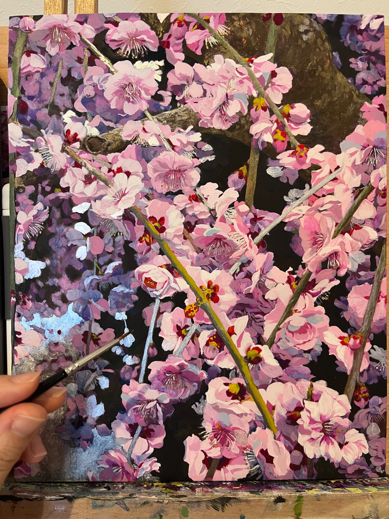 菅澤薫🌼スガ☆カオ (@runrun1114) / X