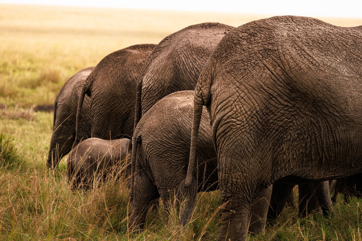 That family feeling. #SeeTheSigns #IsharaMara