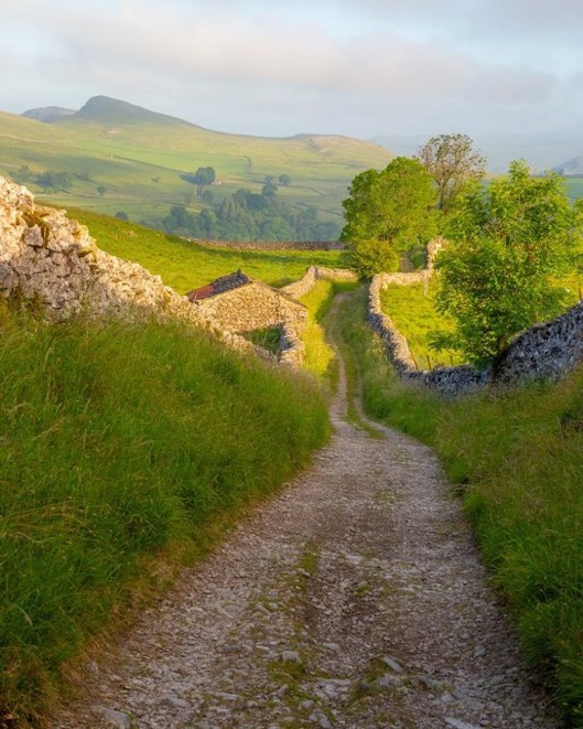 Historic Page (@hist0rypage) on Twitter photo 