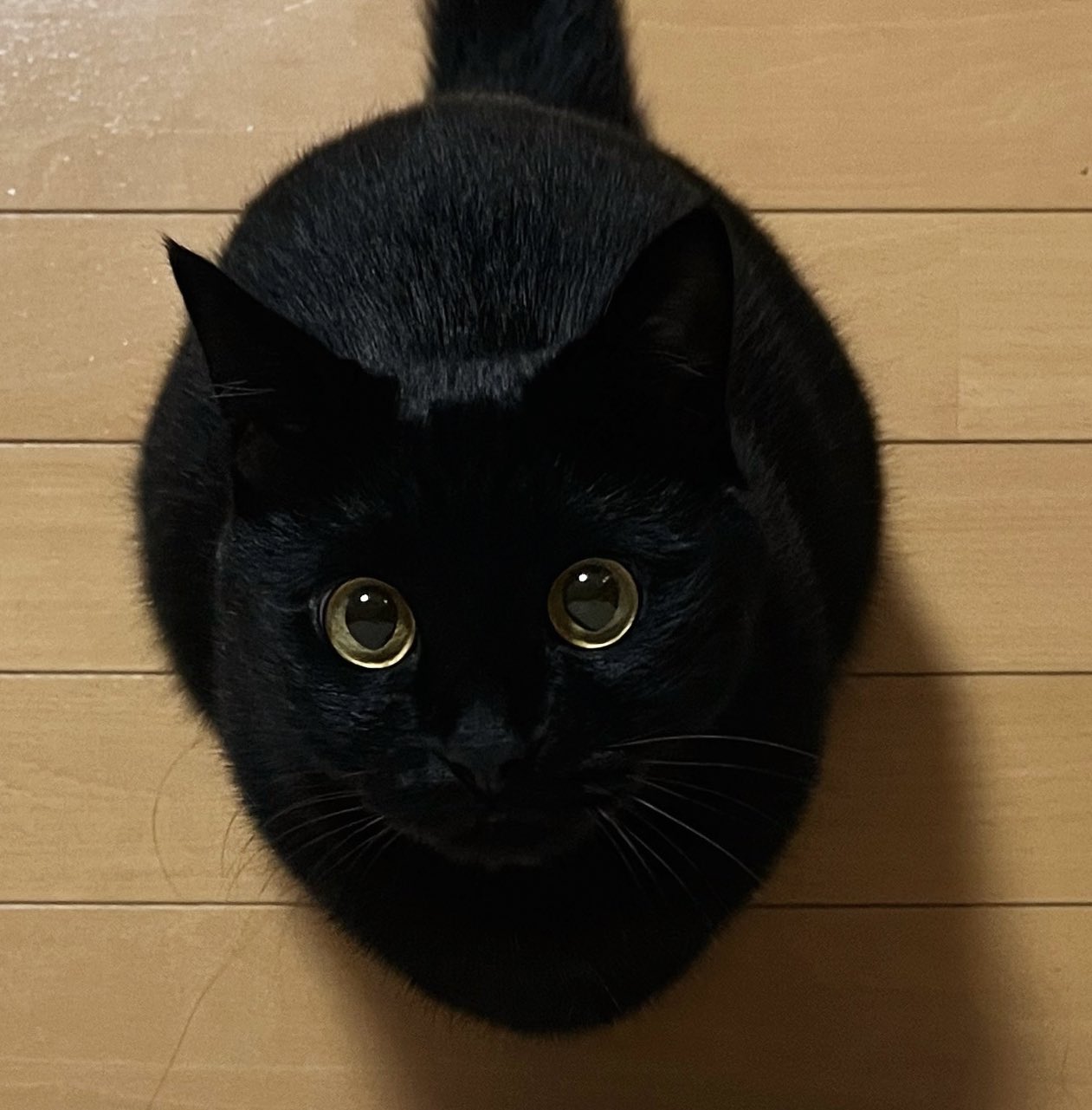 うに3才 on X: 