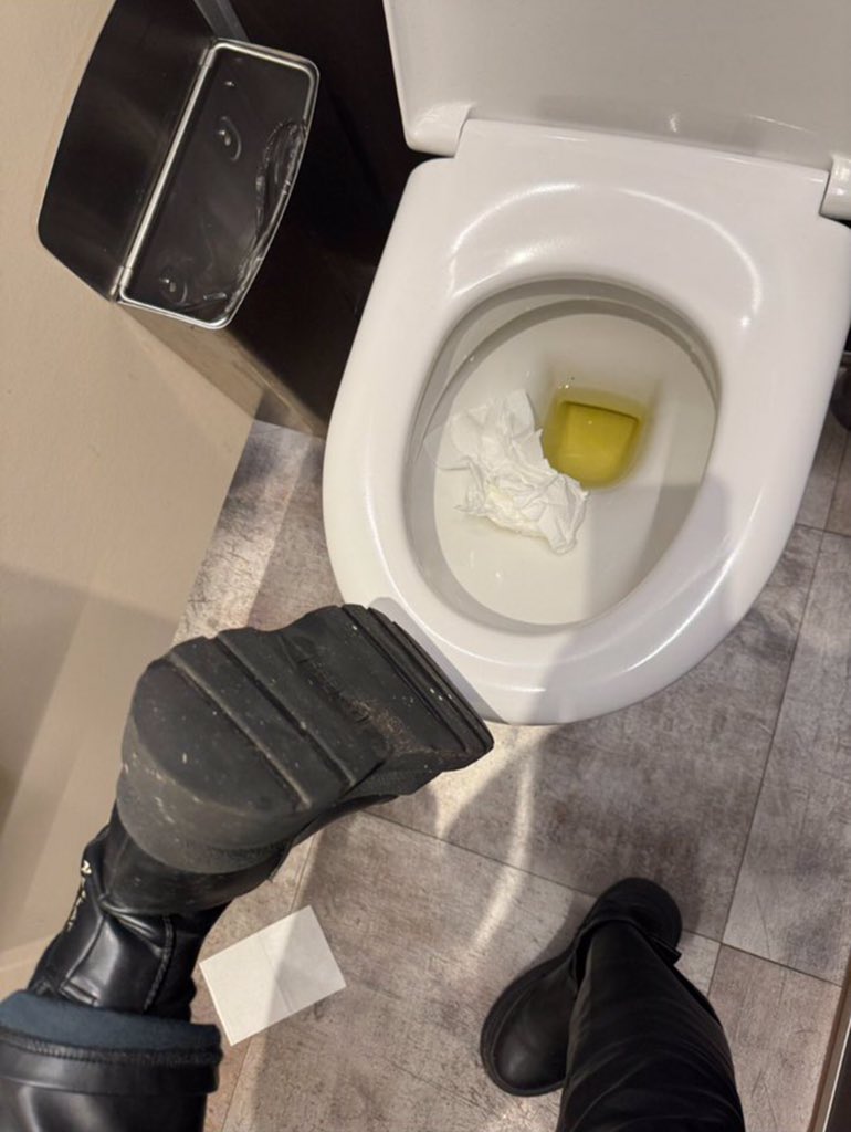 Come and be my toilet