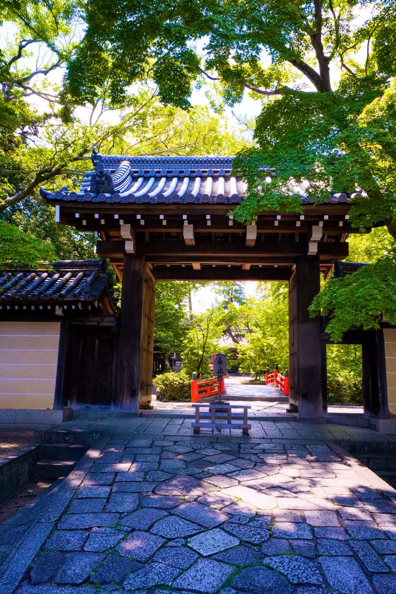 tomato59975980's tweet photo. 京都市

今宮神社

#京都
#今宮神社
#良縁祈願
#玉の輿
#あぶり餅
#神社参拝
#パワースポット
#SONY
#7C2
#SIGMA
#1628mmF28
#nisi
#PL
#お散歩スナップ https://t.co/3n9LBXAlrT