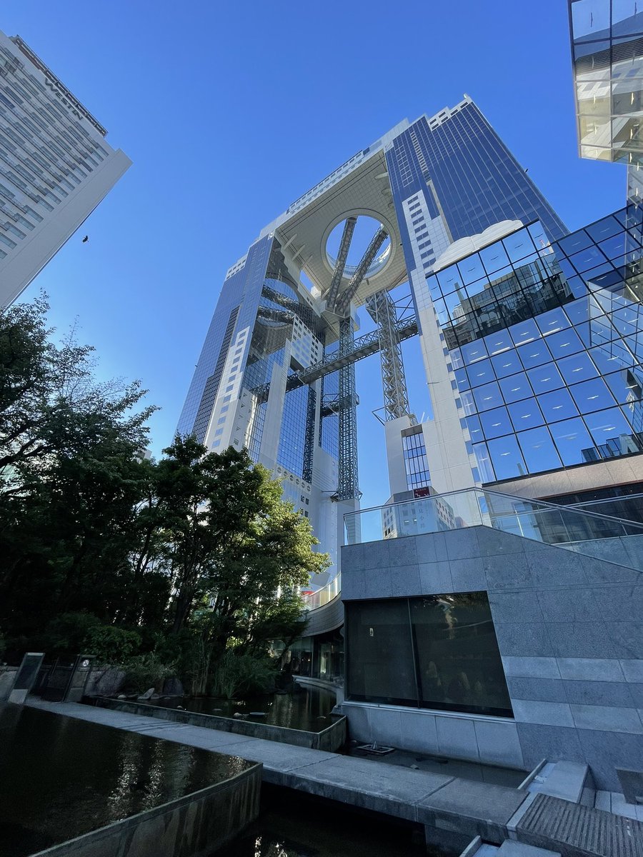 You didn’t think I‘m already flying back home now did you ?