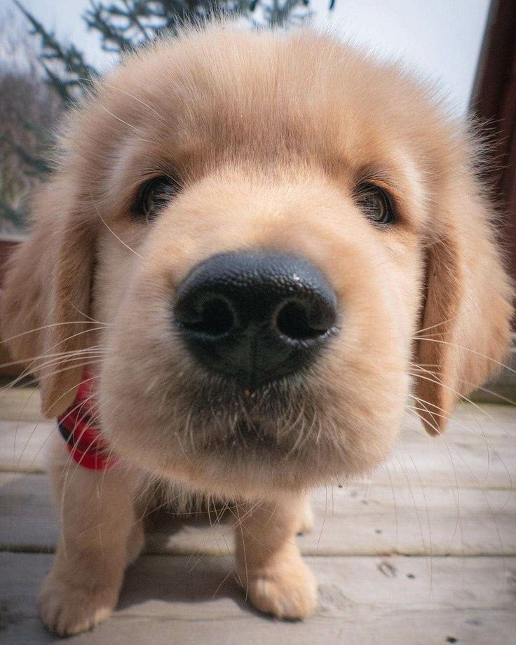 เมือง goodbye stage (@meuanq) on Twitter photo 