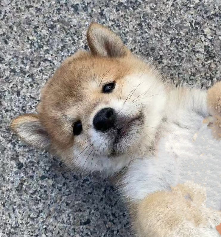 CryptoCat|猫姐🐈 tweet media