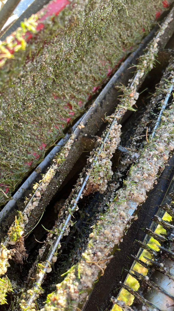 🚨Urgency🚨

Every day you run dull blades = more damage to your turf.
Every day you wait = slower recovery for your greens.
Get your mowers sharpened fast and keep your golfers happy.
📞 Call us today: 07469 720484