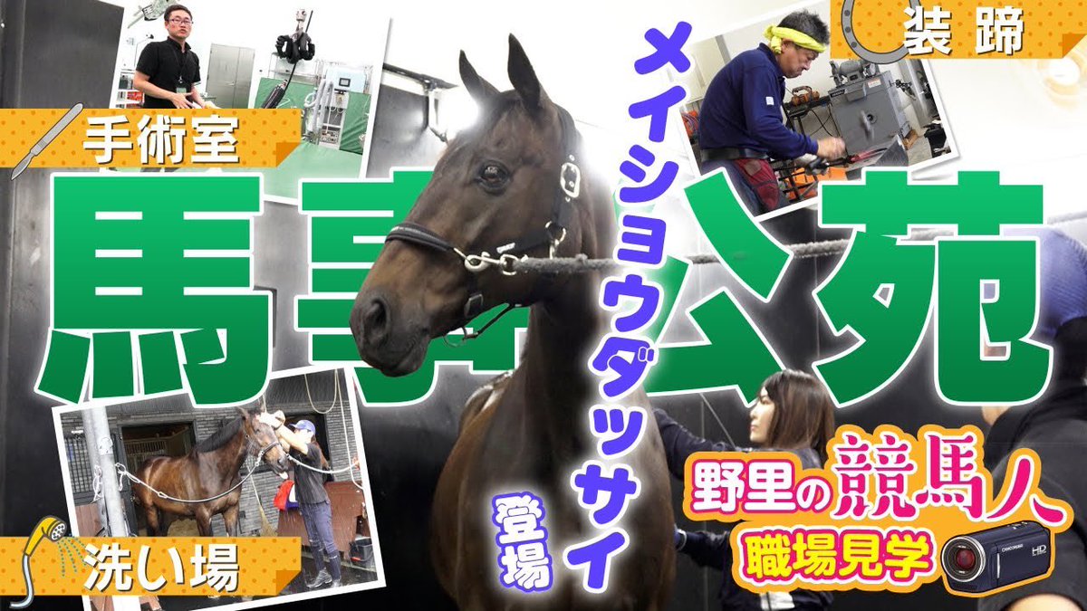 盗まれた馬 grey swirl (@fuku_mobin) / X