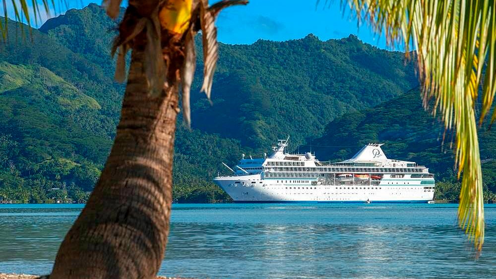 Set sail on a visual journey! 🚢 Discover stunning photography that captures the magic of life at sea — from breathtaking horizons to unforgettable adventures. Explore the gallery here: robertharding.com/gallery/seacat… #Travel #Cruise #Seacations #OceanViews