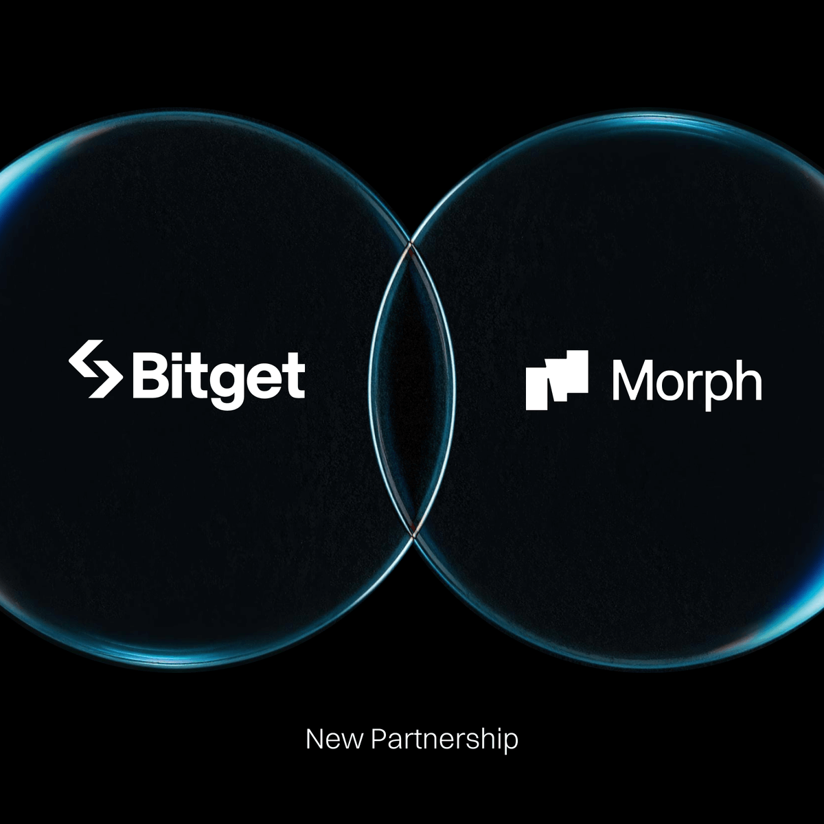 #Bitget has announced a strategic partnership with Morph Chain <a href="/MorphLayer/">Morph</a>.   

Through this exclusive collaboration, all #BGB tokens held by the team (440M BGB) will be transferred to the Morph Foundation. The Morph Chain will adopt BGB as its gas and governance token, powering