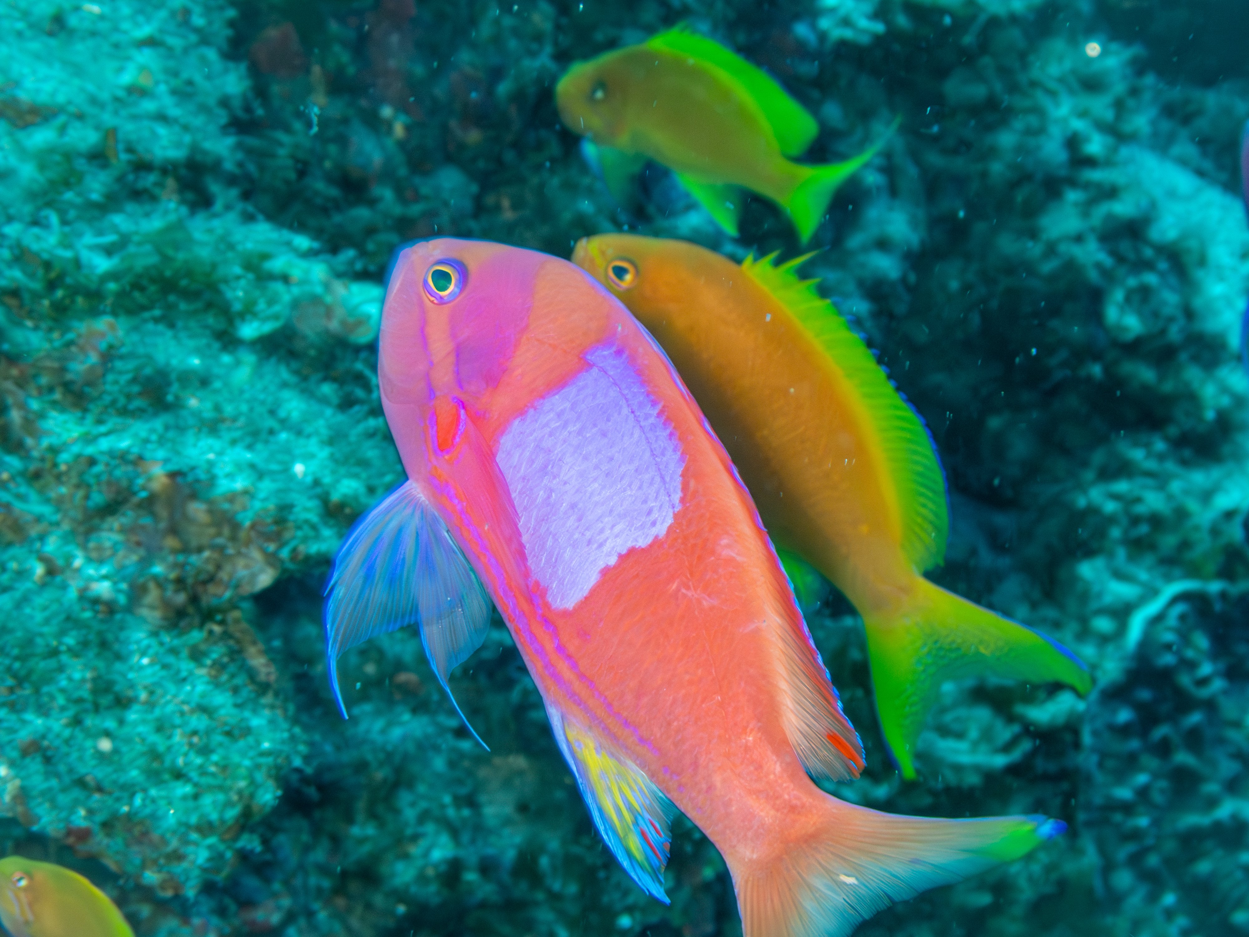 生きている(有) Older Kids' ON Cloud Sky :All Black – iRUN Singapore