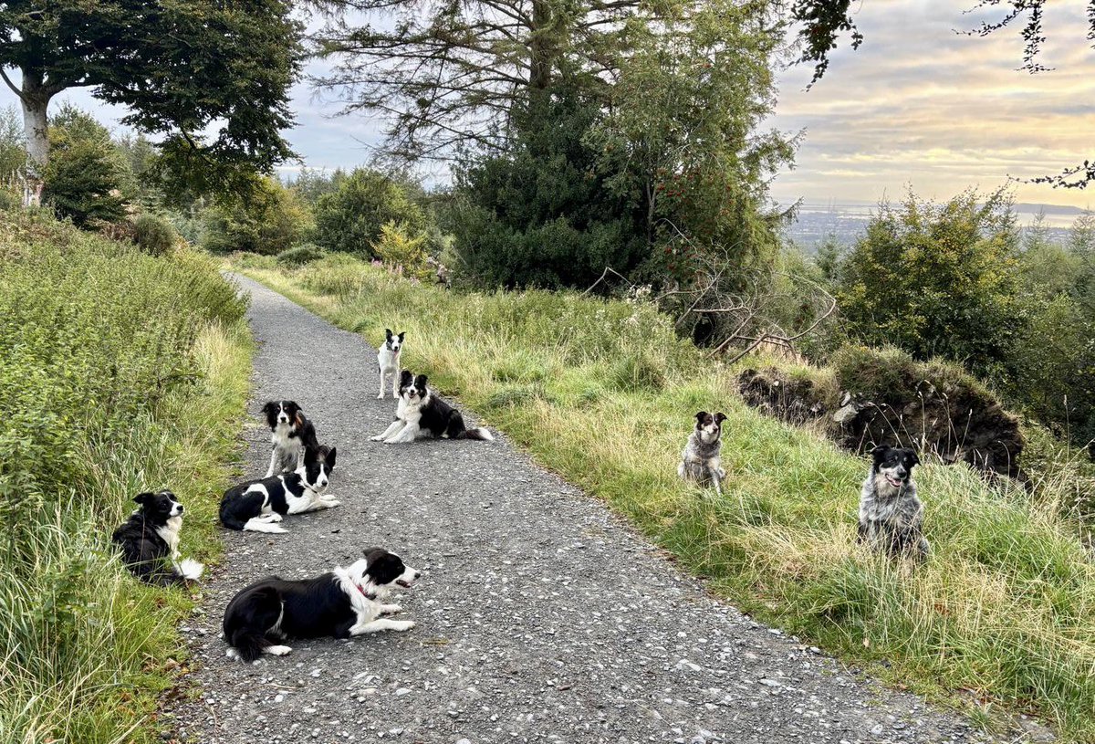 SavetheHellfire tweet media