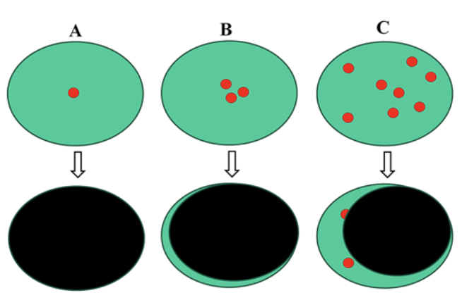 Journal of Neurosurgery tweet media