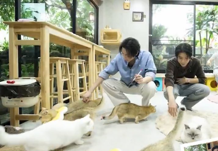 firstkhaotung - Search / X