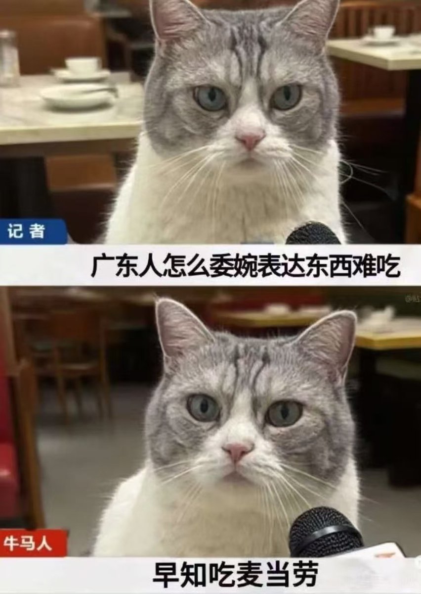 香芋牛奶 (@xiangyuniunai) on Twitter photo 