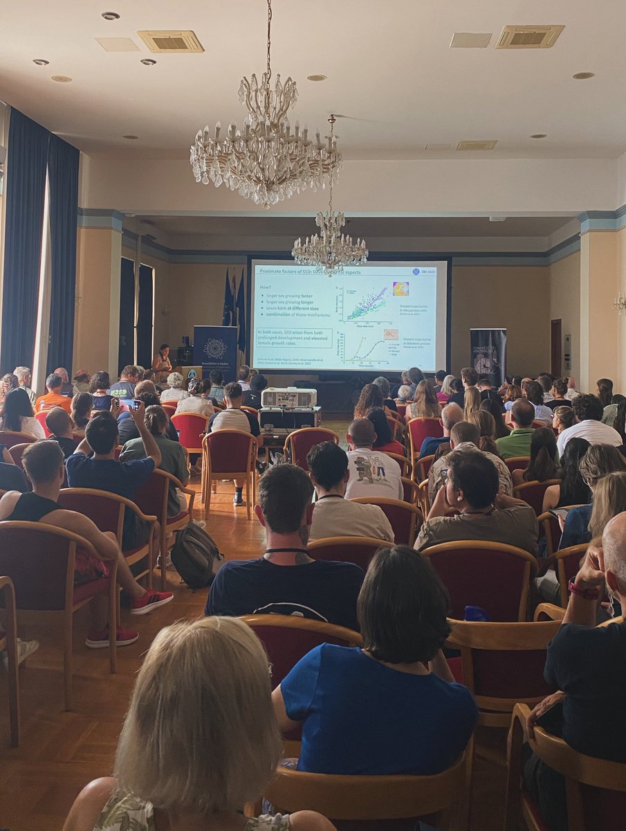 Our plenary talk today: Unraveling Sexual Size Dimorphism in Spiders: Current Insights and Emerging Frontiers by Simona Kralj - Fišer