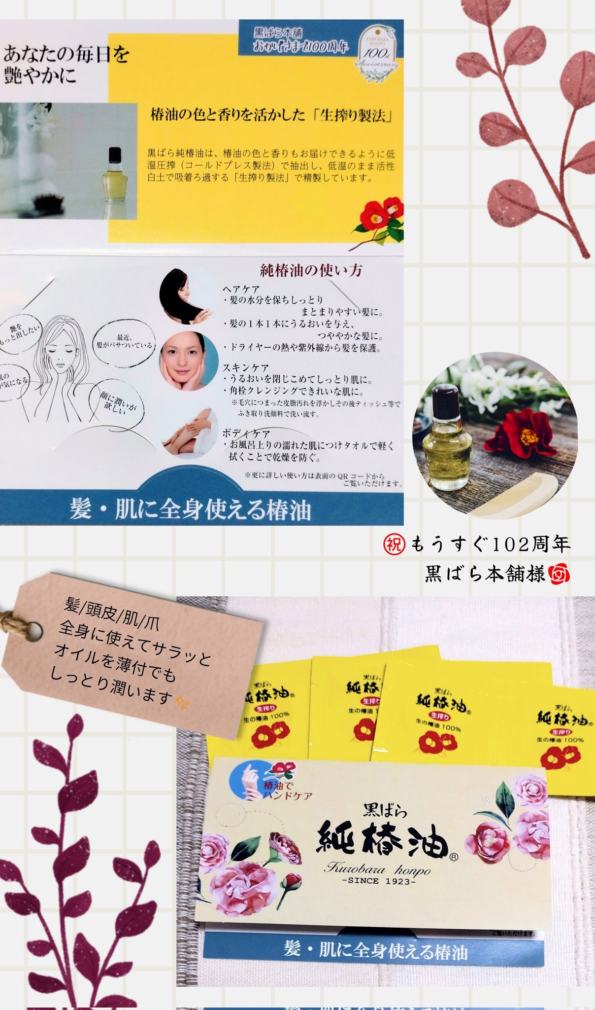 ゆん☆プロフィール必読お願い!様、専用ご購入確定品！New～ボールド計276個！ Amazon.co.jp: セーラー万年筆 万年筆 プロフィットジュニア+10