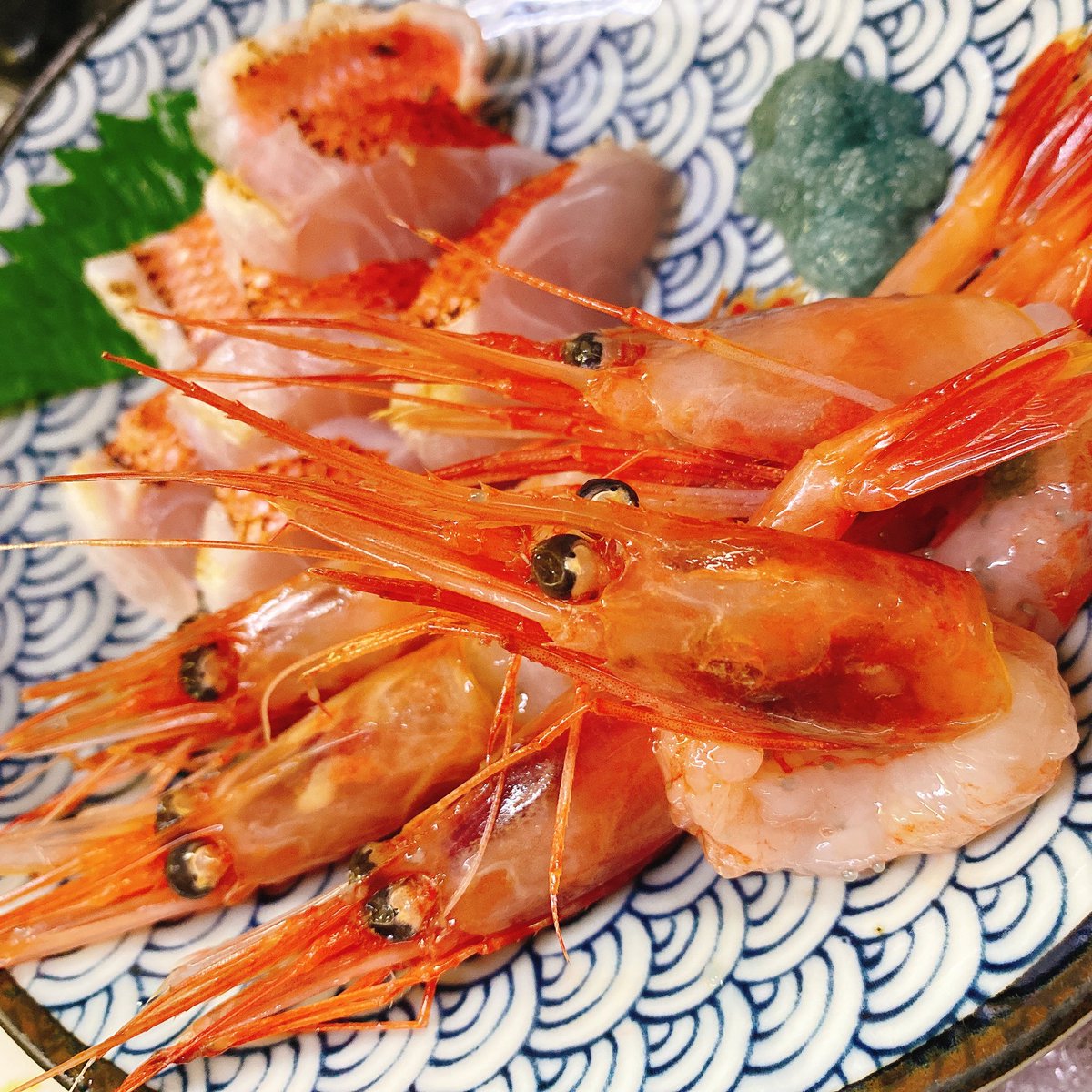 甘エビ❤️❤️❤️
#寄り目
#可愛い
#魚介別館のみすけ