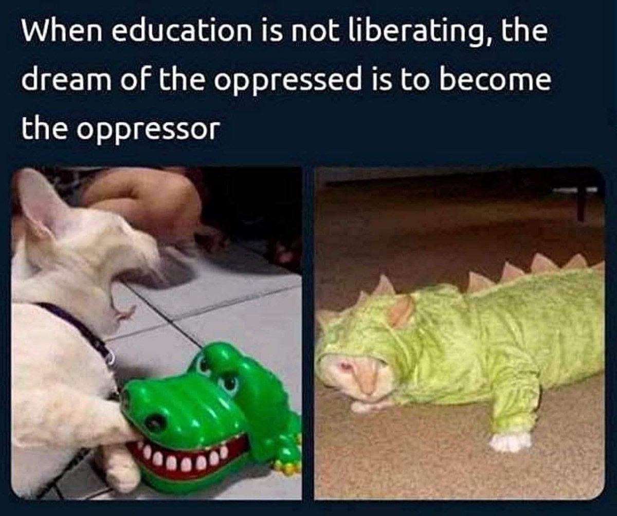 ELSomner1's tweet image. #LearnedBehavior