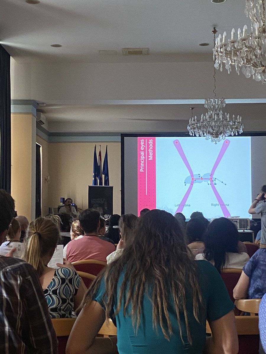 Symposium on “How arachnids experience their world: senses, Brain, development and behaviour” started with the lecture “Biological point - light displays scanning by the principal eyes of a jumping spider” by Massimo De Agro.