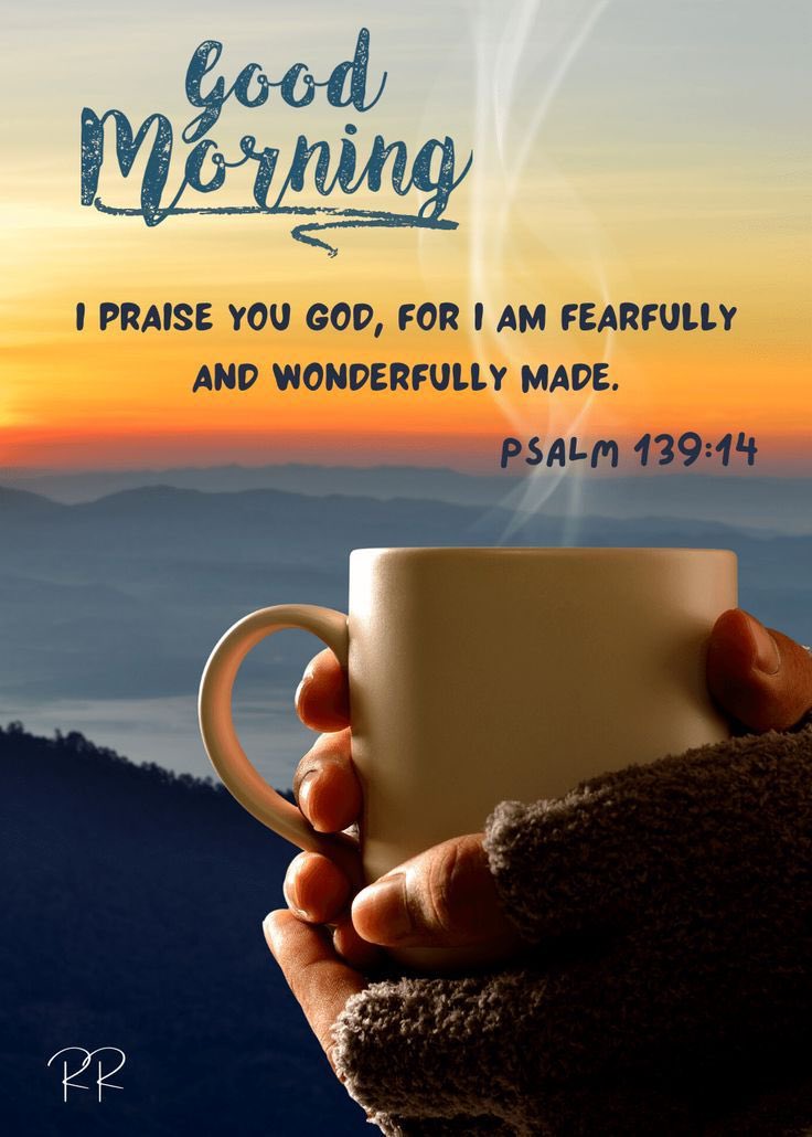 Good morning my friends🌞. It’s “back to the grind” as my father always said. Take time to pray, 🙏🏻 🙏🏻 reflect and appreciate all that we have.  Pray for our country and president.  🇺🇸🇺🇸 Time for coffee ☕️☕️. Have a blessed day and see you out there 👊🏻👊🏻