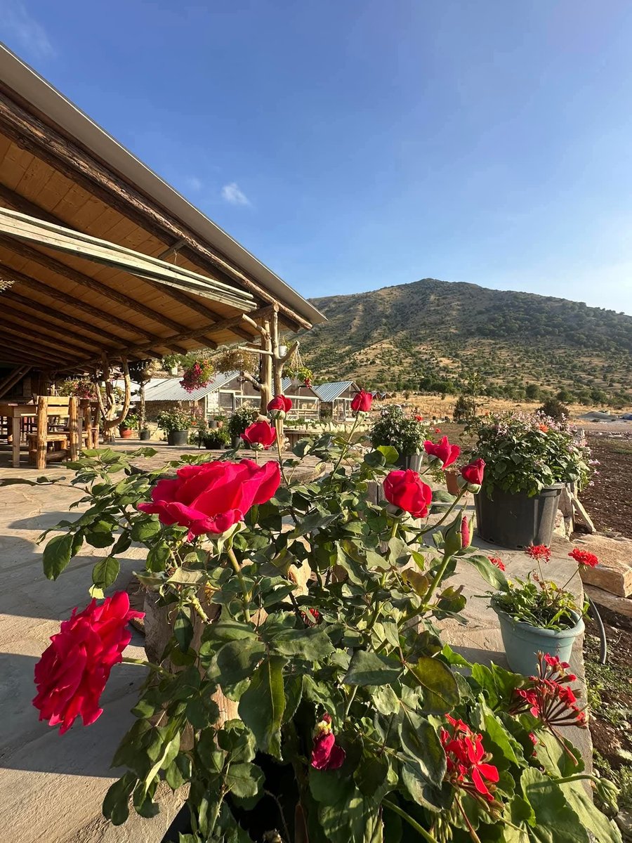 Camping Cajupi na jihu Albánie 🐎🇦🇱

📍maps.app.goo.gl/r6V6Sc1VqJQEDm…