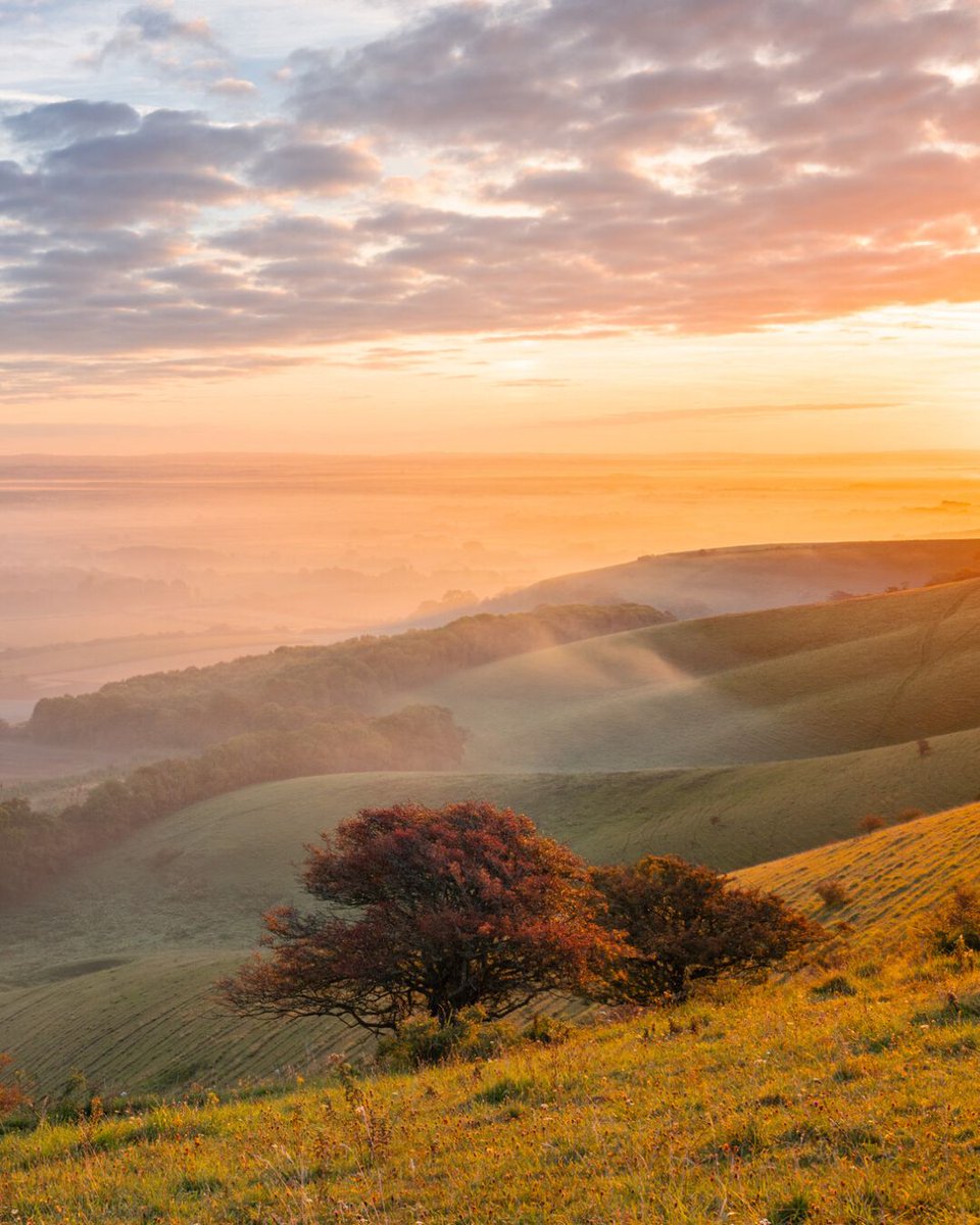 South Downs National Park tweet media