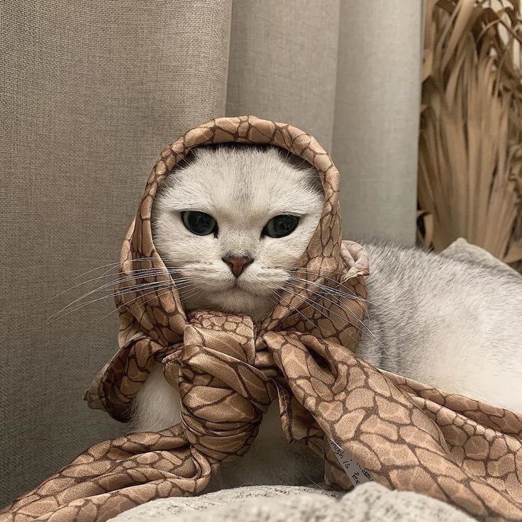 LyRa (@vynessa05) on Twitter photo 