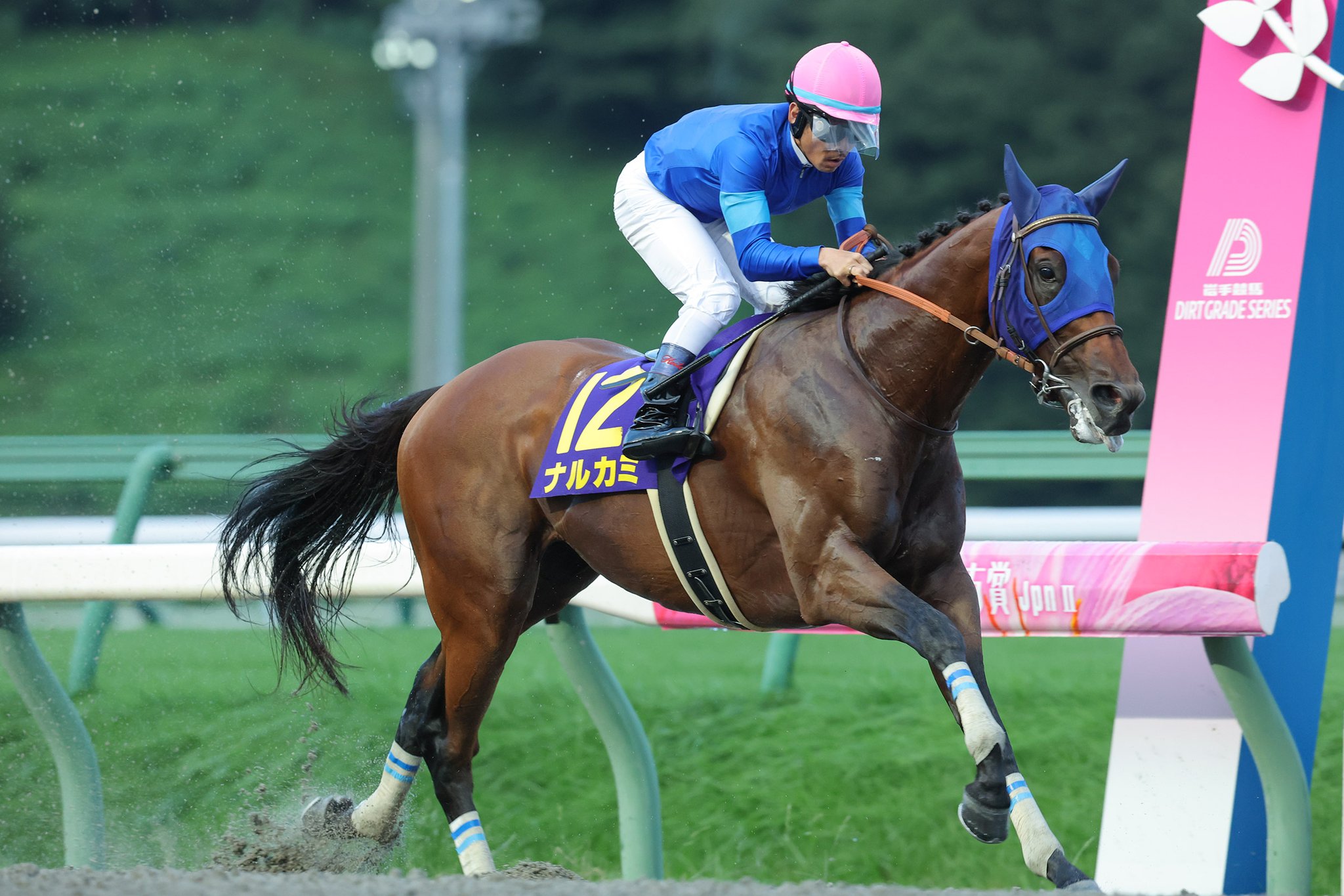 トウケイニセイラストラン　第21回桐花賞　単勝馬券　岩手競馬 観覧券セット トウケイニセイラストラン 第21回桐花賞 単勝馬券 岩手競馬 観覧