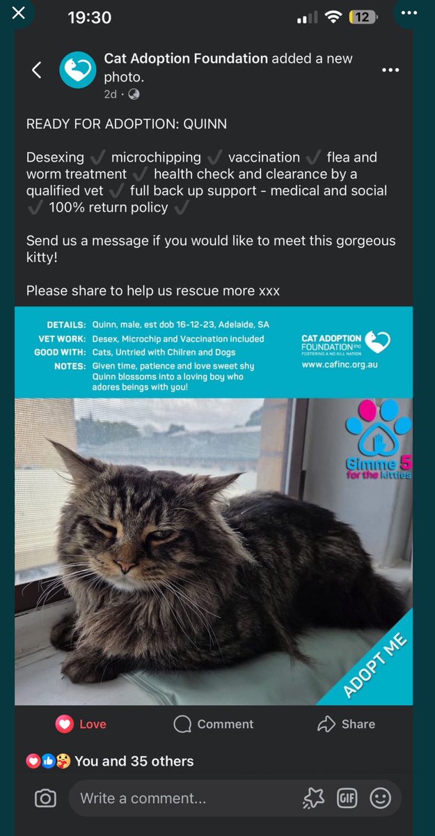 Sassy 🧡and 🌈 This Puss 🌈 tweet media