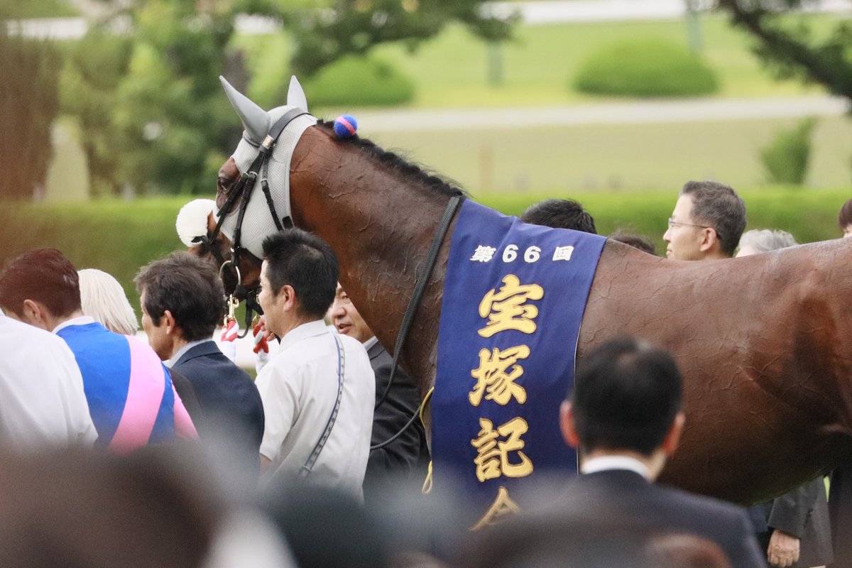 宝塚記念 - Search / X