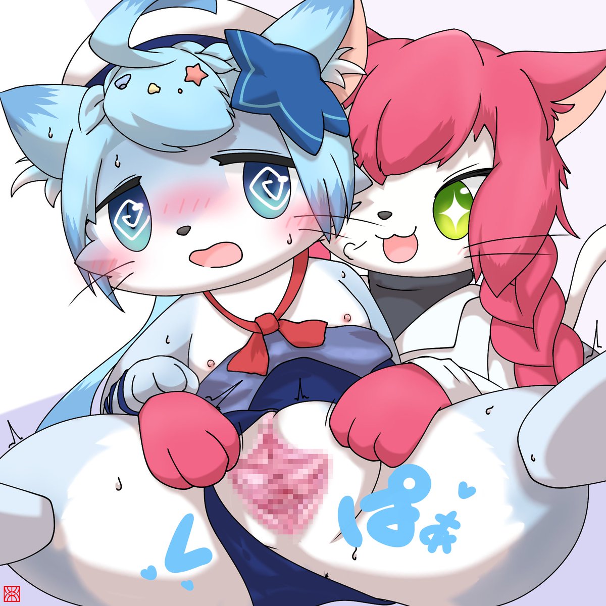 🐱🐬🐱🧰