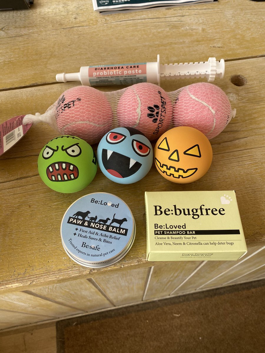 Hi pals, few new bits in store this week 

🐾 pink tennis ballees
🐾 spooky high bounce ballees
🐾 probiotic paste for poorly tins
🐾 first aid balm to help heel sores 
🐾 natural shampoo bars 

bemorebob.co.uk/collections/ne…