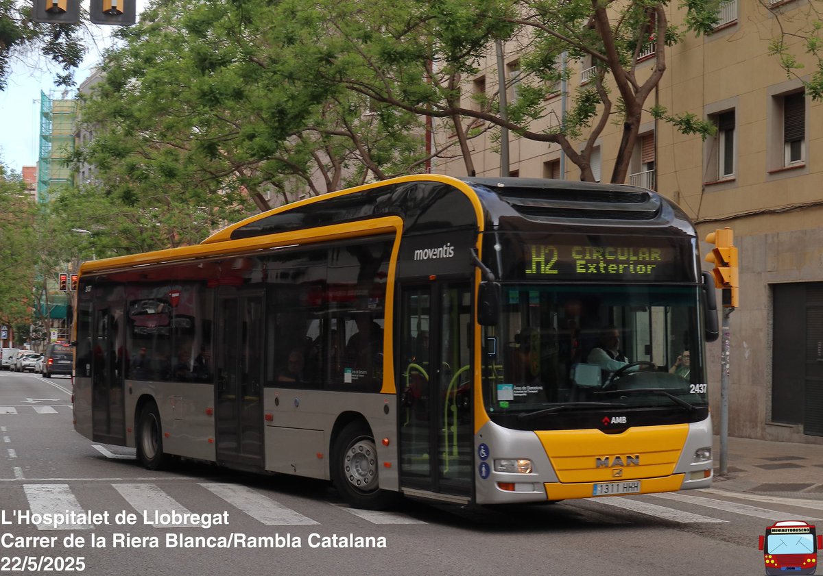🚨Alerta #MoventisHospitalet🚨 
Buses híbridos Man Lions City se paran repentinamente, bloqueando la dirección. 
Se ha reportado incidentes y lesiones en conductores.
Moventis conoce el fallo pero siguen operando sin resolverlo  
⚠️ Precaución para usuarios 
<a href="/Mobilitat_AMB/">Mobilitat AMB</a>