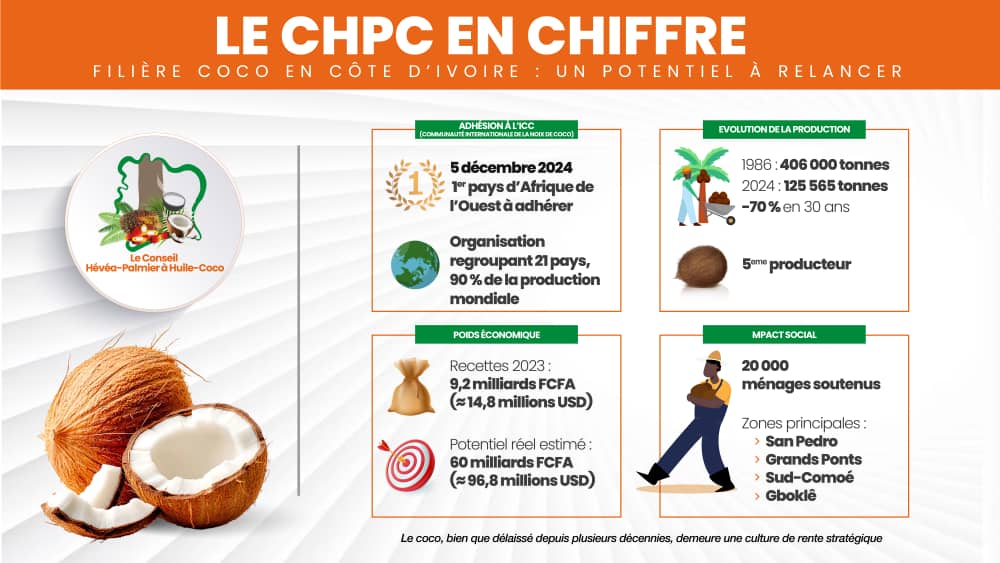 heveapalmierco's tweet photo. A l'occasion de la "Journée Mondiale de la Noix de Coco", découvrez les chiffres d'une filière à haut potentiel à relancer #CHPHC https://t.co/NMuOVXdVbP