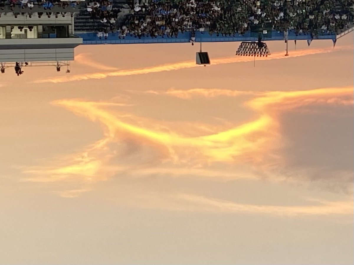 ひっくり返したら科学忍法火の鳥だった