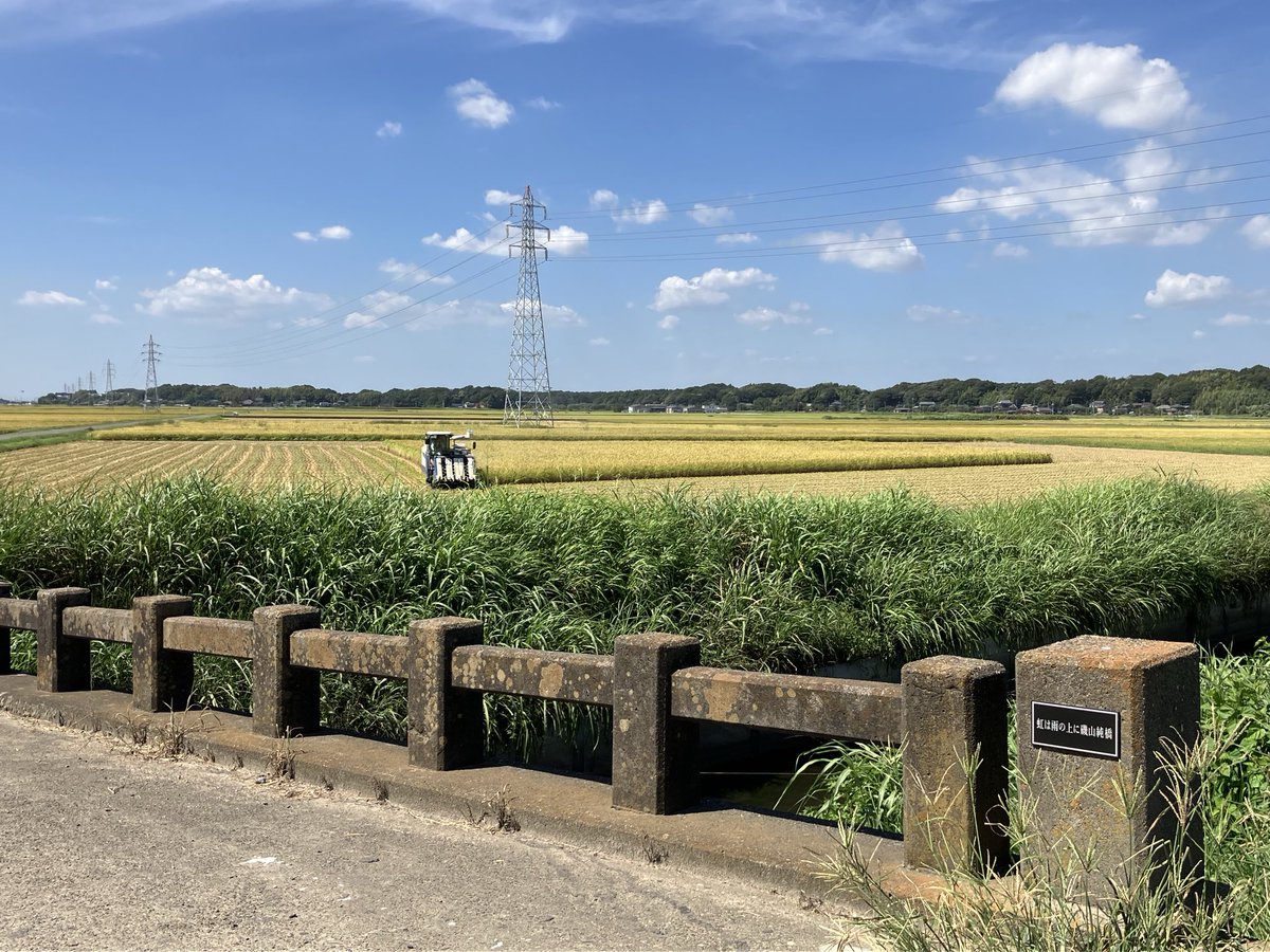 CRZbJF8dRoSejlW's tweet image. 2025年9月2日、「おそらく今年最後になるだろう」と思い、つくばみらい市に「絶景」を見に行きましたが・・残念ながら間に合いませんでした。丁度稲刈り🌾をしておりました。日本の原風景、今年は何度も楽しませてもらいました。黄金色に輝く景色は、また来年。#虹は雨の上に磯山純橋 #つくばみらい市