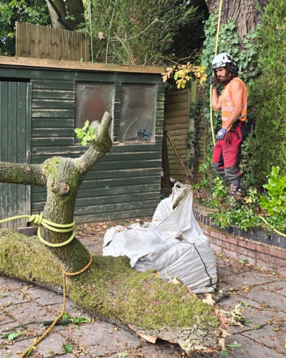 BossBeechwood's tweet image. 🚨 Emergency call-out in Cannock 🌳
Phil, Will &amp;amp; Liam from Team 6 completed a technical rigging operation to make the site safe. Quick response, expert teamwork, safe outcome. 👏 #EmergencyTreeWork #Rigging #SafeSites