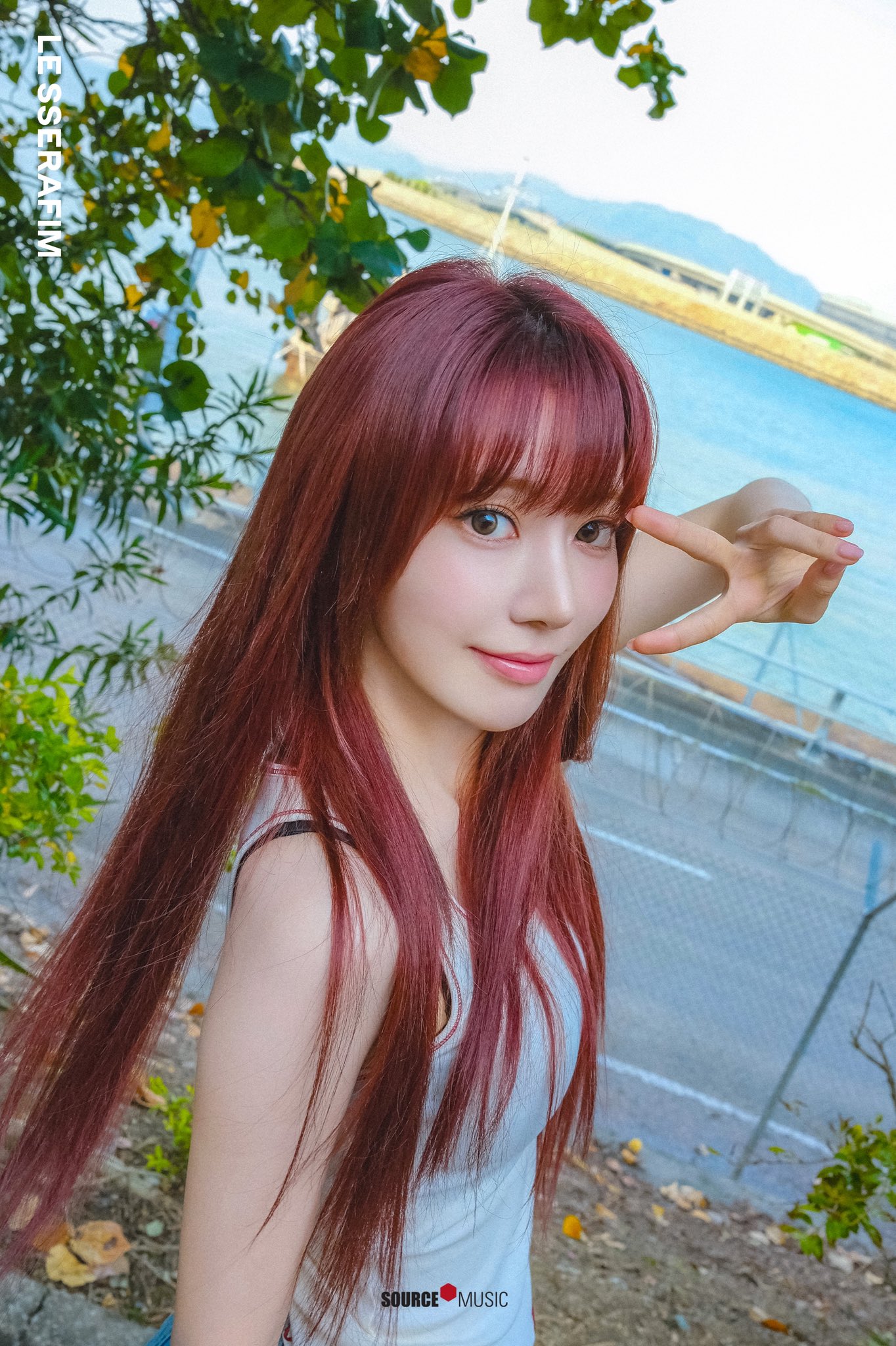 SAKURA ISLAND on X: 
