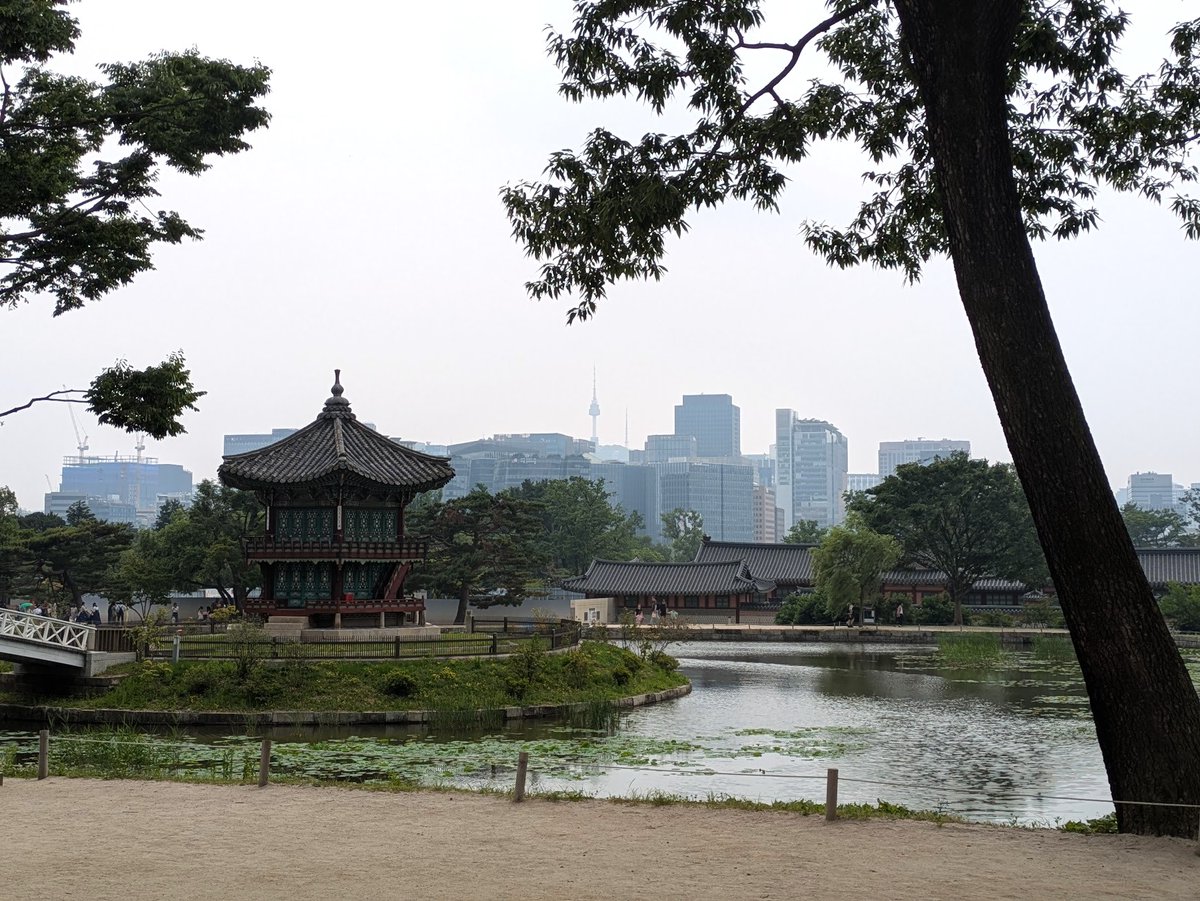 TylerFinx's tweet photo. 2 lifelong dreams in 1 post! This summer, I travelled overseas to Korea which was an enlightening and beautiful experience! I also maxed my oldschool runescape account which was something I've wanted to do since I was 12 years old. :) Silksong in 2 days, too!? Life is so good! https://t.co/MON0hqojHl