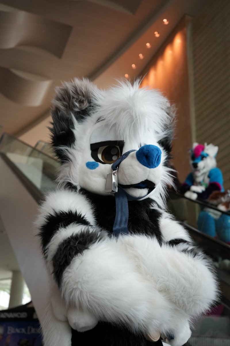 <a href="/_sodabreath/">bennett</a> <a href="/drypup/">dry 🥎</a> <a href="/DenaliFur/">Denali</a> <a href="/Astra_The_Kitty/">Astra</a> <a href="/CybrFur/">Cybie 🔜 MFF</a> <a href="/Hugz_N_Snugz/">Hugz N. Snugz 🔜 MFF 2025</a> <a href="/AtomicWyvern/">Sulfer or a birb</a>