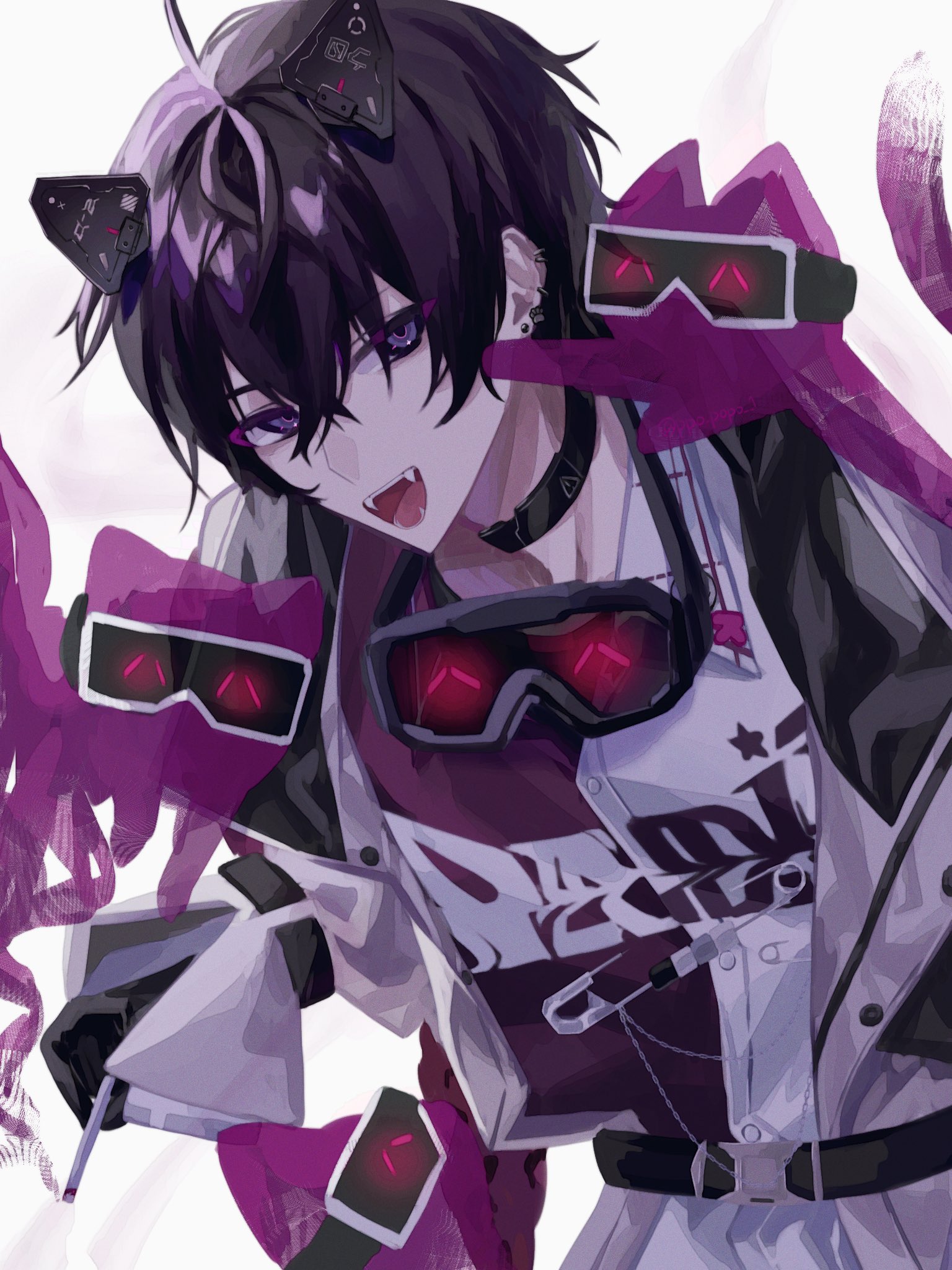 はくとん( 'ω')ŧ‹\