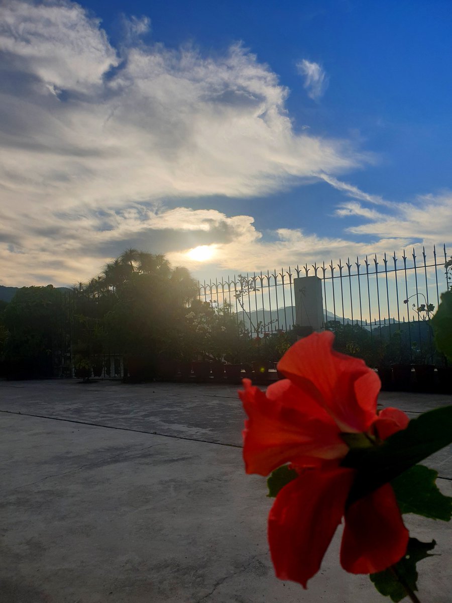 <a href="/AimeeR2022/">Aimée</a> Simple things of nature