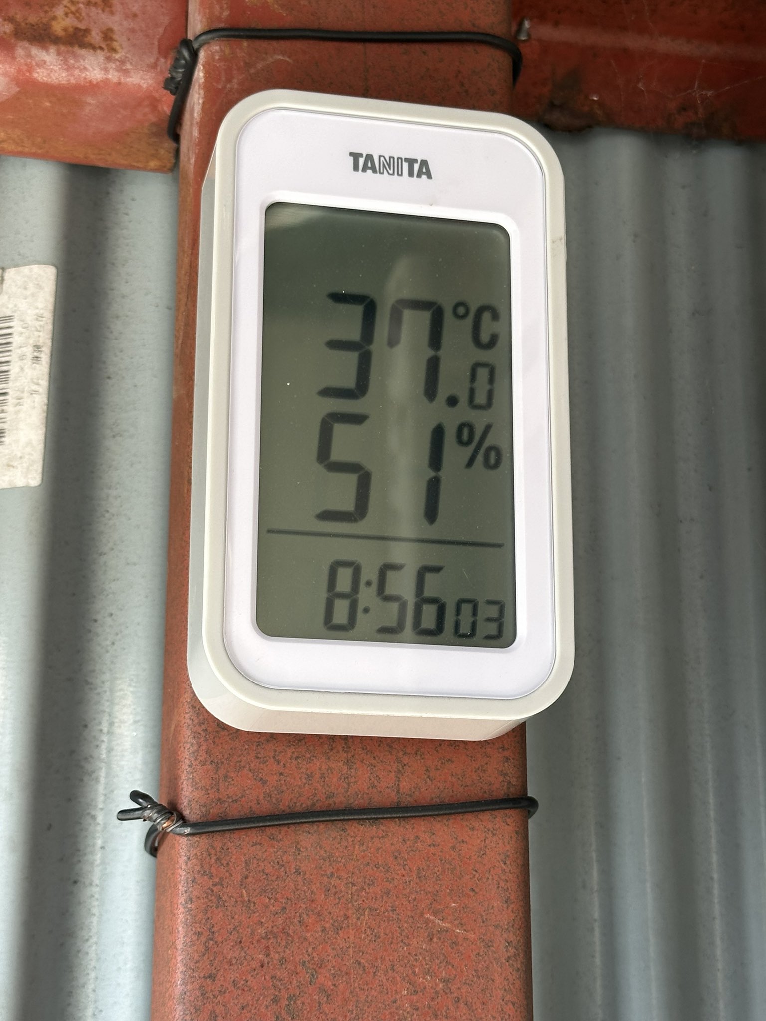 まるまる様❁専用ページ Amazon.co.jp: トヨタカタカナエンブレム トヨタエンブレム