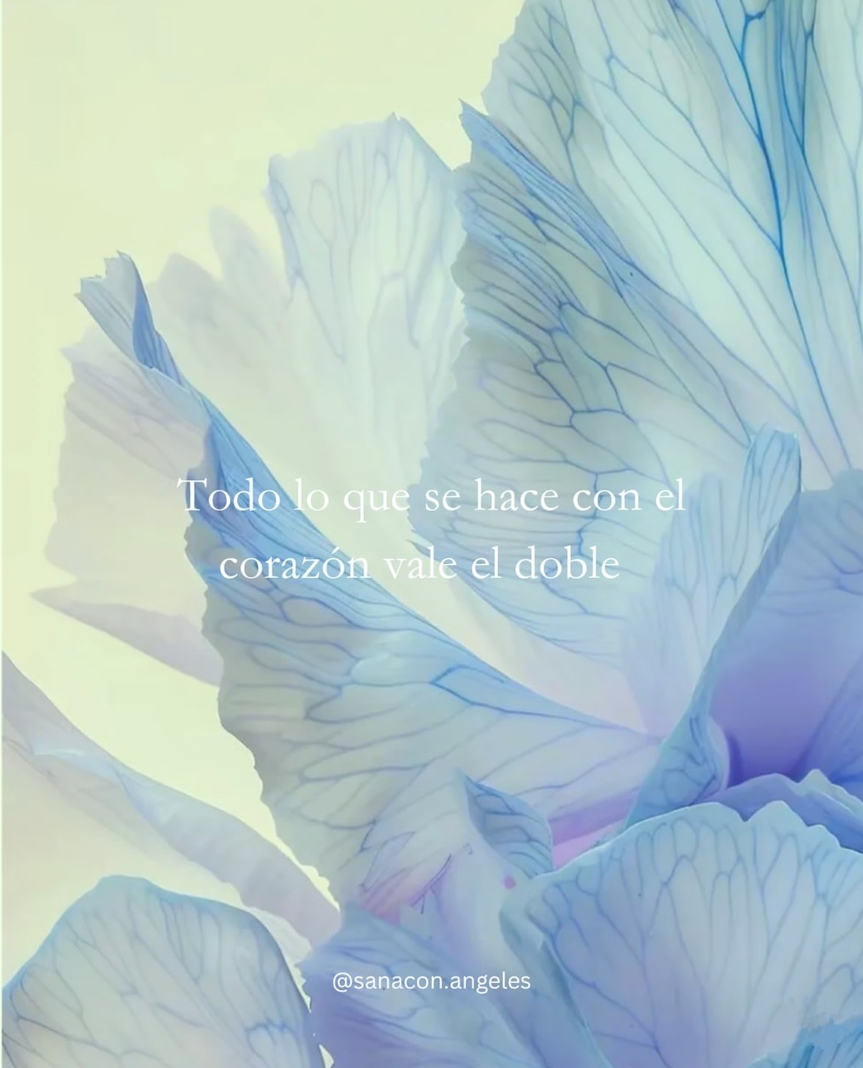 *୨୧⑅満月୨୧⑅* 81TJ+qNZ2eL._AC_SY350_QL65_.jpg