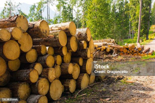 alemaoopoeta252's tweet image. While the world sways on the erratic waves of American fascism, caused by Donald Trump&apos;s Agent Orange, other essential issues are being forgotten! Such as the climate crisis, desertification, and polar ice caps. Focus: The world needs to be saved! #environmentaldisasters 
 #Cop30