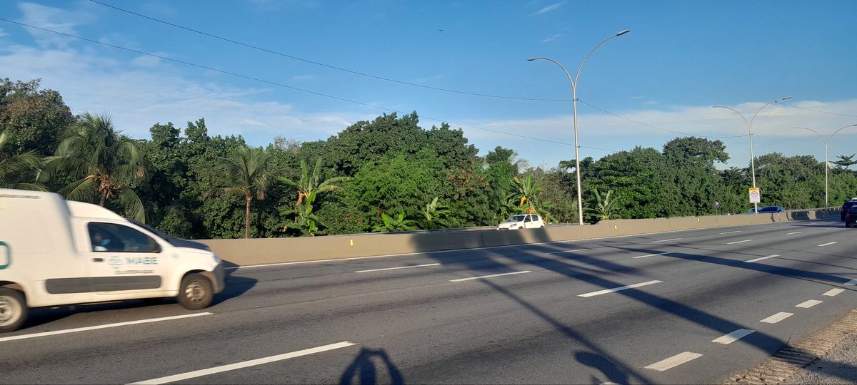 alemaoopoeta252's tweet image. While the world sways on the erratic waves of American fascism, caused by Donald Trump&apos;s Agent Orange, other essential issues are being forgotten! Such as the climate crisis, desertification, and polar ice caps. Focus: The world needs to be saved! #environmentaldisasters 
 #Cop30